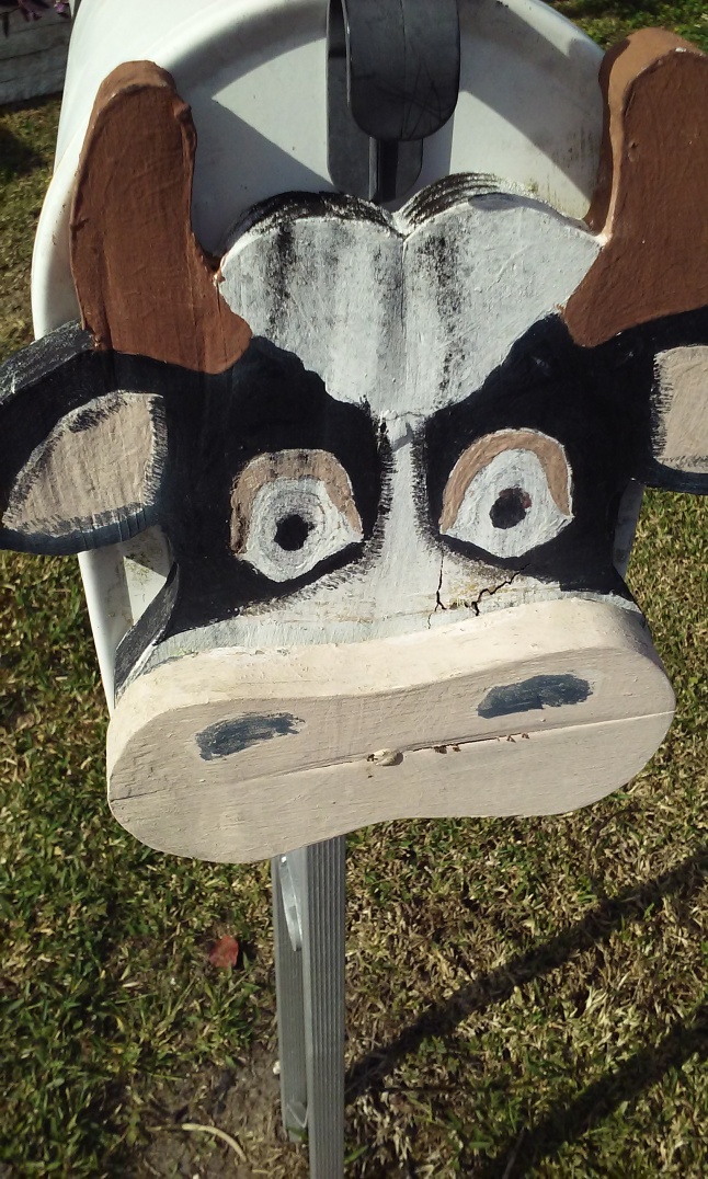 wide eyed stare of cow mailbox