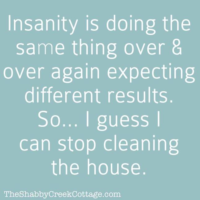 stop cleaning house. It's insanity