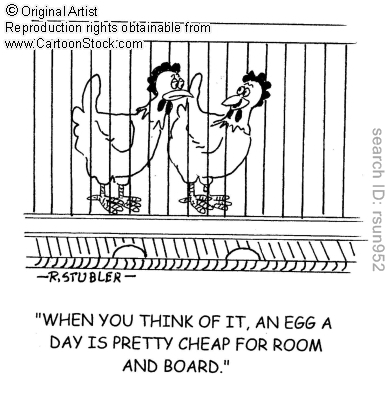 egg a day for room and board
