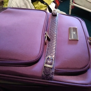 slob, humor, purple suitcase