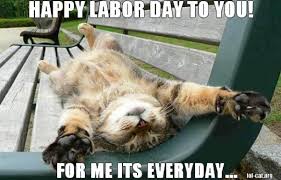 slob, humor, Labor Day cat meme